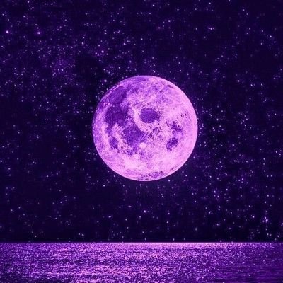 groot_________4's profile picture. 