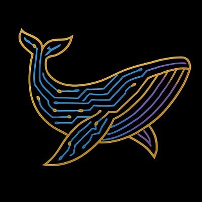 @whalecompute