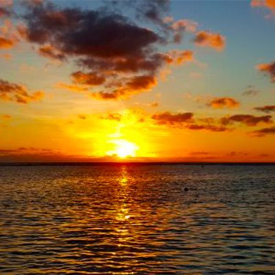 anne88394's profile picture. « À fréquenter les chats, on ne risque que de s’enrichir» Colette😻❤️. ⛔️LFI⛔️woke 🇫🇷#TeamPatriotes #TeamJambonBeurre💪🏻🇫🇷 #FPN #UPN #Uniondesdroites