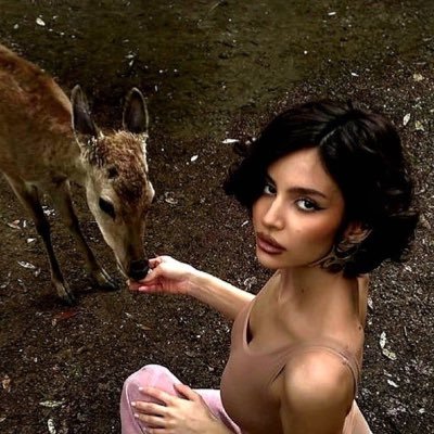 LustreTalks's profile picture. الكثير من المآرب الأخرى