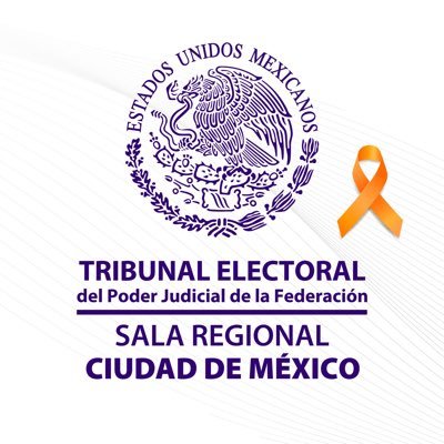 TEPJF_SRCDMX's profile picture. La Sala Regional Ciudad de México del TEPJF resuelve juicios en materia electoral de las seis entidades que componen la IV circunscripción plurinominal.