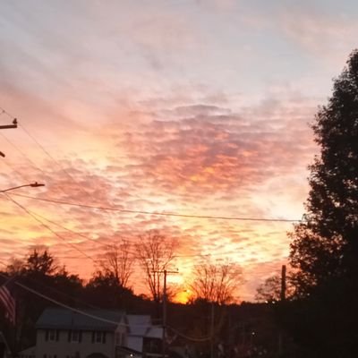 LyricEdwards6's profile picture. 