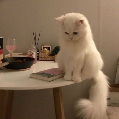 sincederella's profile picture. Milk🥛, honey 🍯 , savagery & lace  |  Second @s1ncedaily