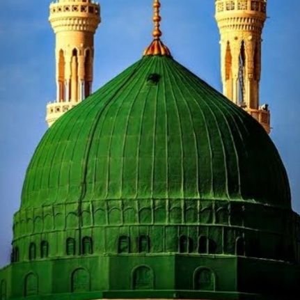 zemheri136878's profile picture. 