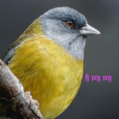 krsonu9631's profile picture. °कोई नहीं हमारा हम खुद-खुद के हैं°                🚩 बजरंग   ||||#शायरी||  ||||#ज़िन्दगी|| 
 दुनया ।।