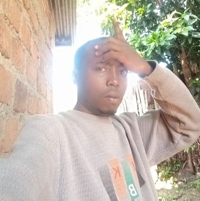 collins_ng6128's profile picture. 