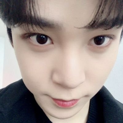 svtwaltz's profile picture. cheolteez aficionado.