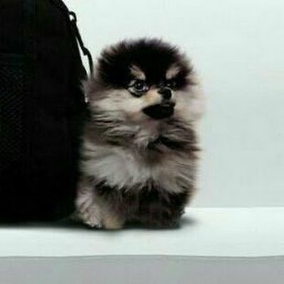 Trulytk_99's profile picture. 