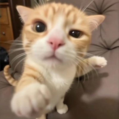 Nob0Piya's profile picture. 