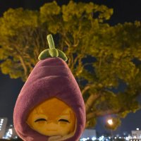 ぽ　ん　か　す　☆ (@ai_syo3000) 's Twitter Profile Photo