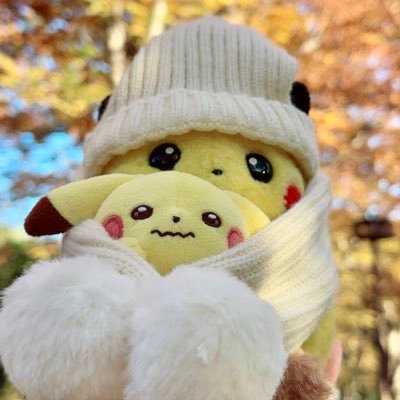aya96131696's profile picture. いつの間にかぬい撮りいっぱい。Nintendo Switchで遊んでます。ポケモン、スプラ（サモランばっか）、ピクミン、あつ森、ゼルダなどなど。ピカチュウ大好き。ちいかわ→うさぎモモンガ大好きです。仲良くしていただけたら嬉しいです♪