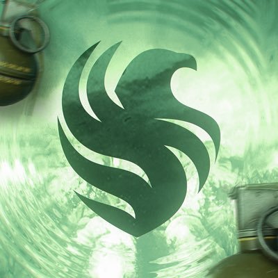 FalconsEsport's profile picture. 2x Esports World Cup Champions 🏆 | Your No.1 Spot for everything Falcons Esports. Sponsored by @NEO_SA @TeamFalconsGG @Riyadh_Falcons