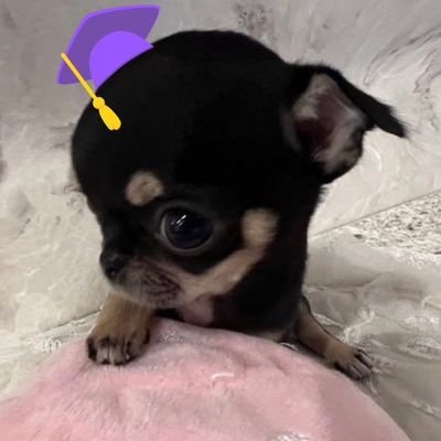 fogkhyun's profile picture. 