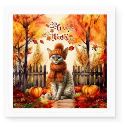 KarenSalitis's profile picture. American. Retired Nurse. Democrat.  Never Stop Learning. Keep calm. Never Give Up. Stay Strong. #SupportUkraine ALWAYS 💛💙🇺🇦 Crazy cat lady. Love 💕#cats