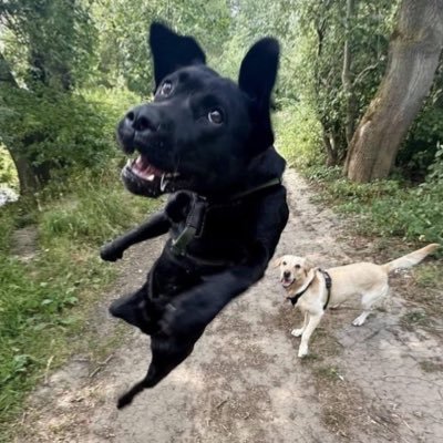 achi_67's profile picture. ✊จะทำได้ไหม ทำได้หรือเปล่า จะทำได้ไหม ทำได้หรือเปล่า