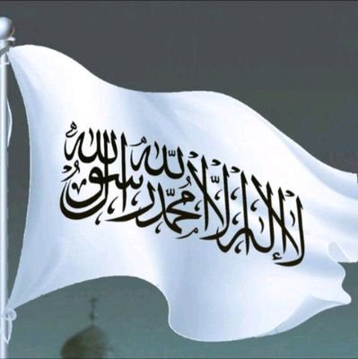 armani_bas41393's profile picture. 