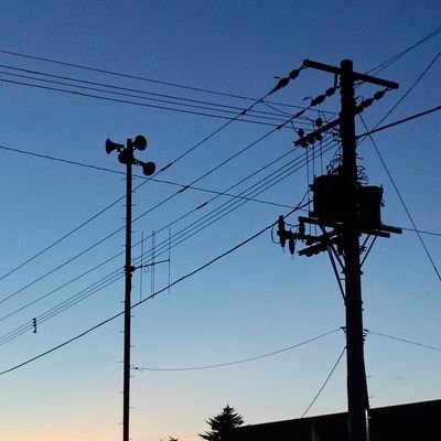 purin_248's profile picture. 