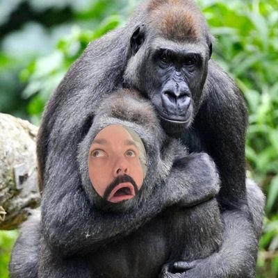 MikeLav0324's profile picture. 