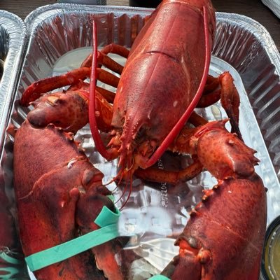 Patrick15385650's profile picture. 