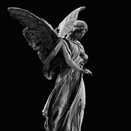 0xdave1_'s profile picture. Software developer | Technical Writer✍️  | building  @coholdhq