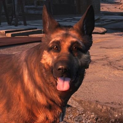 R0tt3nFl3shhhh's profile picture. 16-17!! // PROFIC + DARKSHIP !! RAGH // TF2/Fallout 4/New Vegas/Transformers fan // 🍃 Stoner // COGSWORTH IS MY WIFE BTW