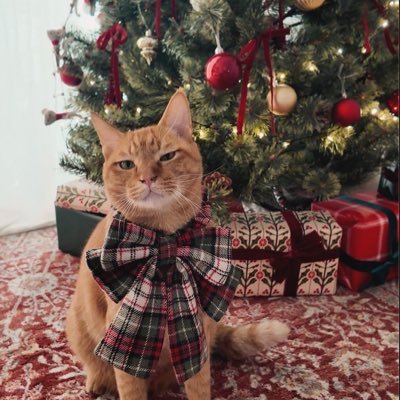 oPinkubub's profile picture. Retired Developer on @Roblox. https://t.co/ZvxMjn6dUm @MahoSalonRBLX