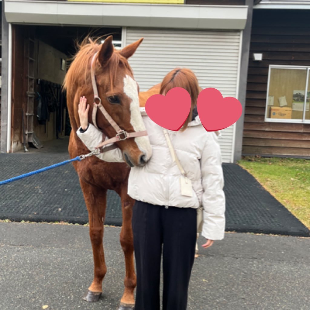 c__cfanta00's profile picture. 凍結しました😭ファンタジスパのちあきです❕