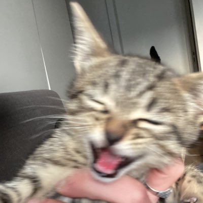 RhMaxime's profile picture. 