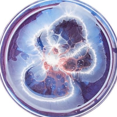 samarunika's profile picture. pls mention after dm! 🫶🏻