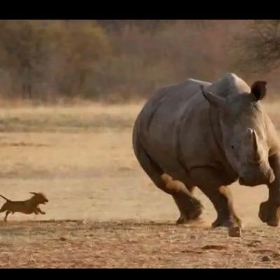 Kwemb_Picks's profile picture. Analyzing the odds to find the best bets! Stay tuned for my latest insights!
Open for advertisements