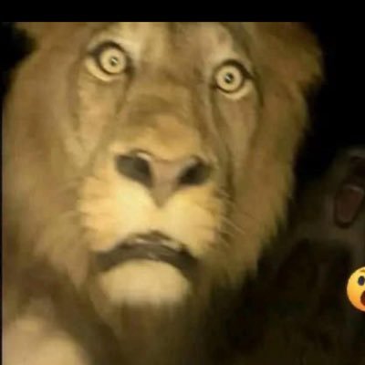 sakhwattt's profile picture. back in 2026