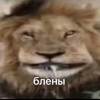 Freaky287745694's profile picture. 