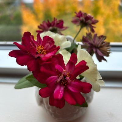 erotiquesensual's profile picture. 🌈🏳️‍⚧️sensuality