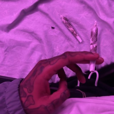 spininyabinn's profile picture. 