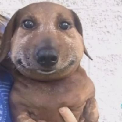 jasmeanjas's profile picture. libre e incendiaria, así soy;
como luz de la mañana, que no quema pero como cala...