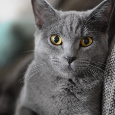 Bouchard2608's profile picture. Wisdom and tenacity break through boundaries, fearlessly pursuing their dreams and shining with a woman's unique light
I enjoy running, listening to music, and