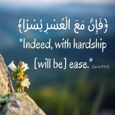 NSarafi88412's profile picture. 