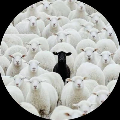 don_venny's profile picture. what you think of me is not my concern 📝