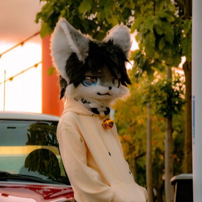 Bon9527i's profile picture. 是一个一事无成的FurryGame Developer/老表KLF/喜欢福瑞不混圈,自由潇洒赛神仙!独立游戏开发者/佛系摄影/喜欢数码科技编程的小动物一枚/不太指望能出什么名，交个朋友罢!企鹅号:2542904684|170/45(千克)/正在开发Furry游戏MushDash