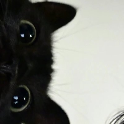 rjmxrell's profile picture. Pop culture chaos curator 🍿 | Glow-up gems, savage replies & zero filters ✨💀 Tweets = my therapy ⋆｡𖦹 ° Join the vibe 🤍