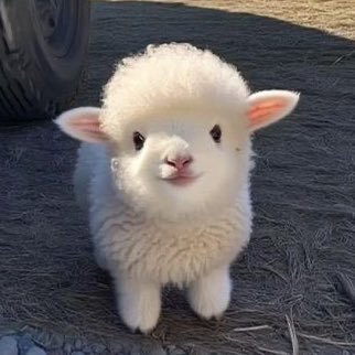 pocaHaotas's profile picture. ผู้สำเร็จราษฎร์กาล #ครัวจินตนาการbyเหาๆ #สุนทรโวเหา #เหาศรีวลีเด็ด #ตัวเป็นไทยใจเป็นTART