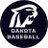DakotaBaseball's profile image