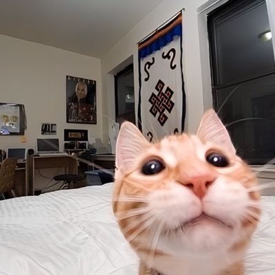 reybecar_'s profile picture. I Am Not Your Mother's Child