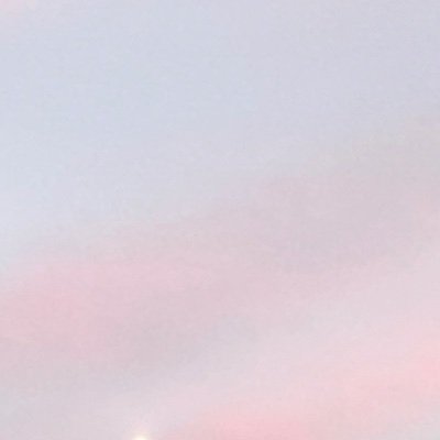 n4egh's profile picture. 