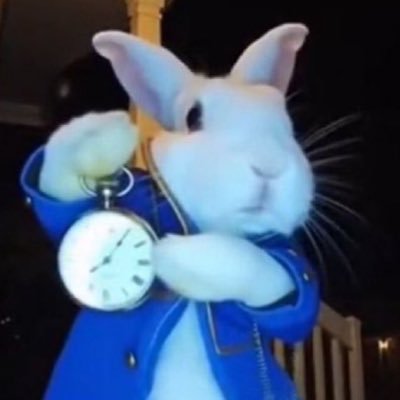 imadam__'s profile picture. smart cookie!