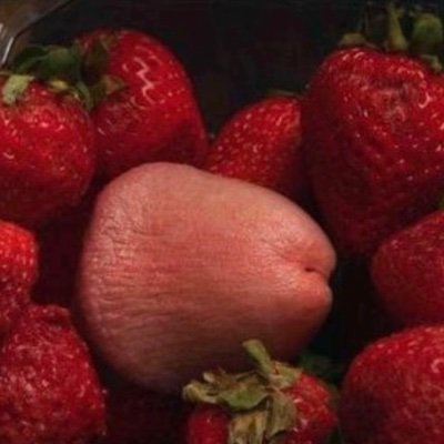 rerffsss's profile picture. 