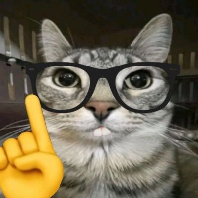 studytvv's profile picture. "Se você não tivesse capacidade, Deus não te daria a oportunidade. Seus medos você já conhece, experimente suas coragens" - Santa Teresinha