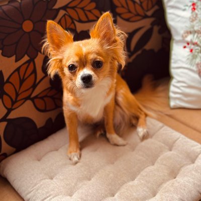 ElisaIsmail2608's profile picture. I'm the hero of this story.