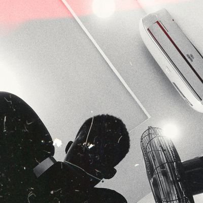 btc_rainbow's profile picture. 