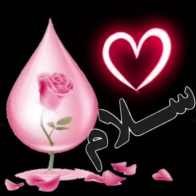 SDsfart50383's profile picture. 